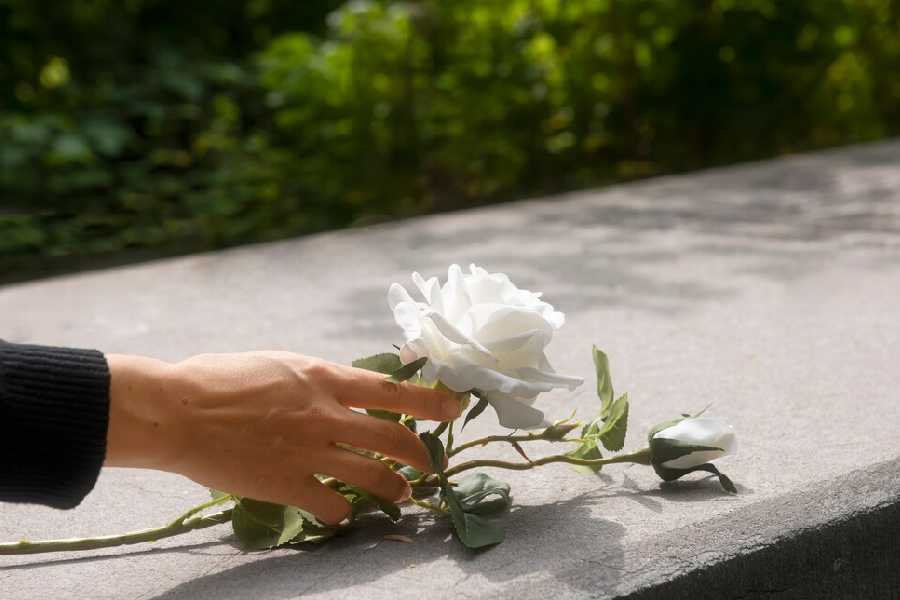 white-rose-on-greveyard