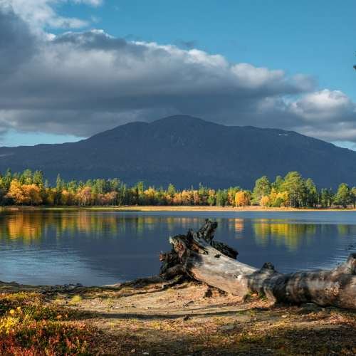 Beautiful shot of natural scenery in autumn