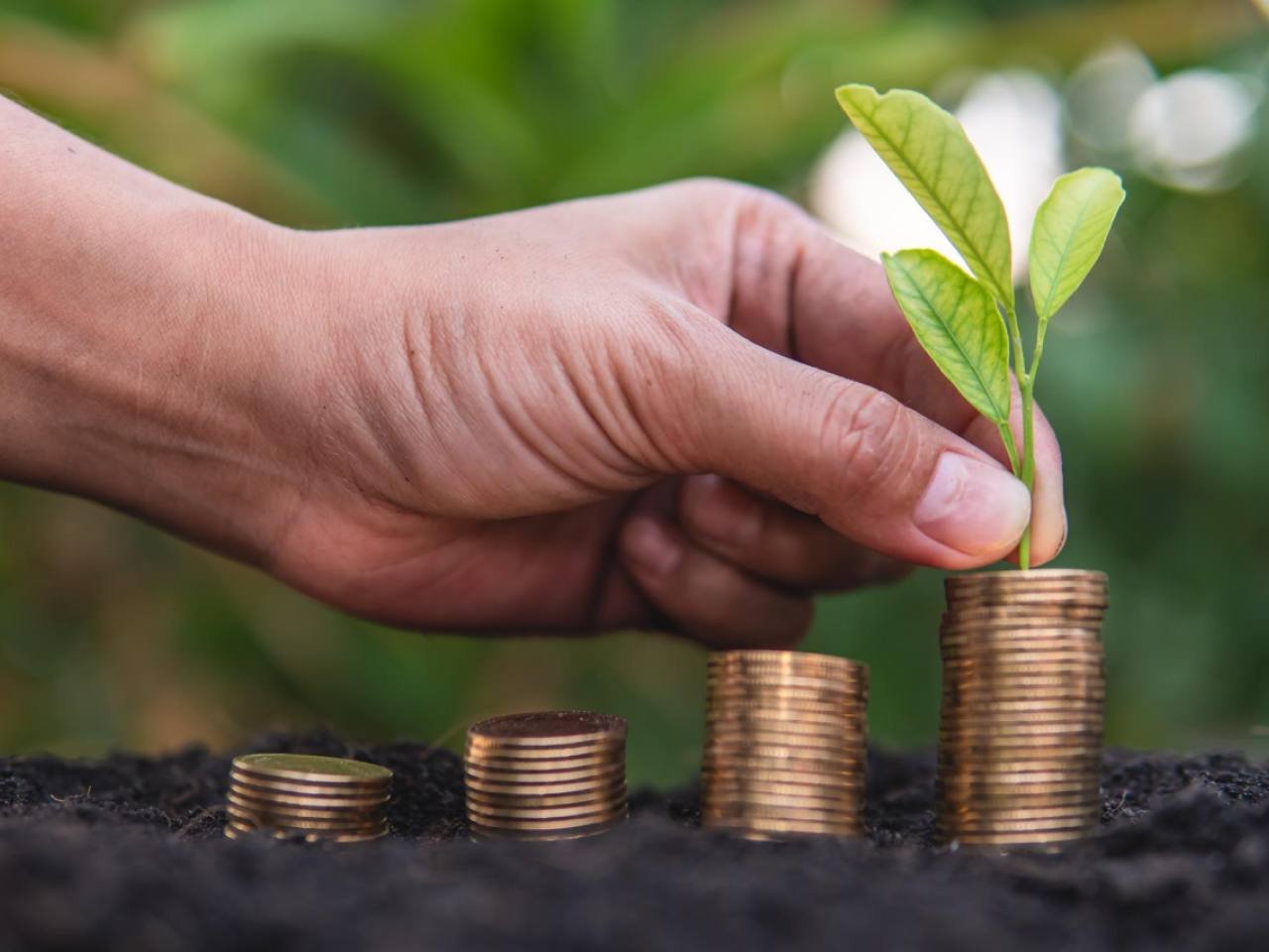 Money coin growing graph with plant on wood backgroundbright